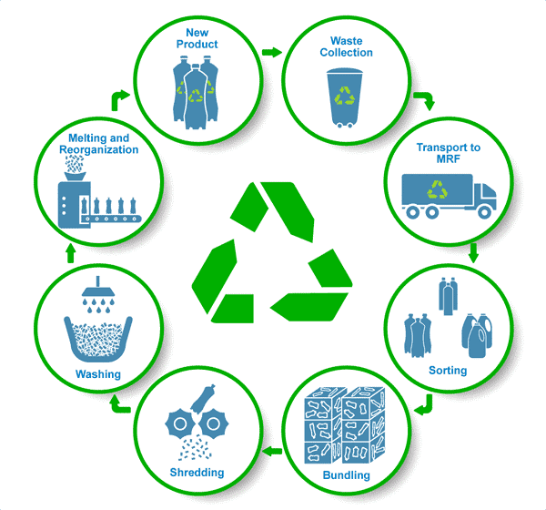 Sustainability & Circular Economy